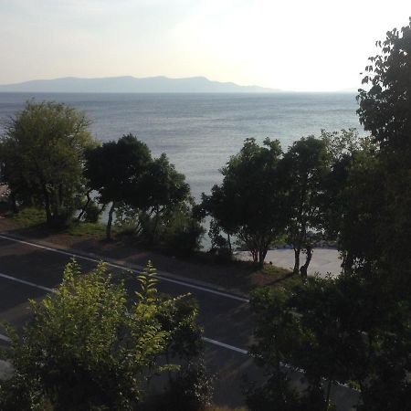 Apartment Marina Senj Senj  Luaran gambar